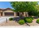 Inviting single-story home featuring a charming front yard with mature tree and desert landscaping at 11952 W Overlin Ln, Avondale, AZ 85323