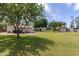 Large backyard with mature trees, sheds, and plenty of shade, perfect for outdoor activities at 12548 E Cloud Rd, Chandler, AZ 85249