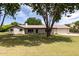 Inviting single-story home with lush front lawn and mature shade tree at 12548 E Cloud Rd, Chandler, AZ 85249