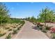 Landscaped pathway with colorful flowers, trees, and well-maintained lawn at 16010 N 74Th Ln, Peoria, AZ 85382