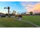 Large grassy backyard featuring beautiful landscaping and desert plants at 18822 E Flintlock Dr, Queen Creek, AZ 85142