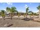 Expansive front yard with mature palm trees and a long driveway, offering privacy and curb appeal at 18822 E Flintlock Dr, Queen Creek, AZ 85142