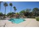 Community pool with a deck, seating, landscaping, shade structures, and palm trees at 1950 W Park Pl, Chandler, AZ 85224