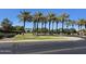 A well-manicured green space with palm trees, manicured shrubs, and green grass alongside the street at 20941 N Leona Blvd, Maricopa, AZ 85138