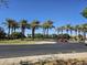 View of a wide, well maintained street with sidewalks and landscaping including palm trees and green grass at 20941 N Leona Blvd, Maricopa, AZ 85138