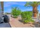 Backyard featuring a covered barbecue, white fence, mature trees, and desert landscaping at 2400 E Baseline Ave # 228, Apache Junction, AZ 85119