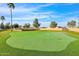 Expansive putting green with flags, palm trees, and beautiful blue sky for an enjoyable golfing experience at 2400 E Baseline Ave # 228, Apache Junction, AZ 85119