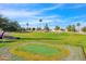 Manicured golf course with green grass, sand traps, palm trees, and blue skies for recreational outdoor enjoyment at 2400 E Baseline Ave # 228, Apache Junction, AZ 85119