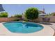 Refreshing backyard pool surrounded by mature landscaping and inviting lounge areas at 3105 E Amber Ridge Way, Phoenix, AZ 85048