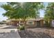 Charming single-story home featuring a mature tree, covered parking, and well-maintained landscaping in front yard at 3202 N 21St St, Phoenix, AZ 85016