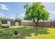Spacious backyard offering a mature shade tree and a storage shed, perfect for outdoor activities and relaxation at 4502 N 17Th Ave, Phoenix, AZ 85015