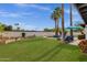 Spacious backyard features a lush lawn, mature palm trees, and an inviting pool area perfect for outdoor gatherings at 6401 E Voltaire Ave, Scottsdale, AZ 85254