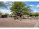 Elegant front exterior with a circular driveway, lush landscaping, and a gated entrance at 7327 E La Junta Rd, Scottsdale, AZ 85255