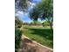 Lush community greenspace with walking paths, mature trees, and well-maintained landscaping at 924 E Baylor Ln, Gilbert, AZ 85296