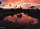 Picturesque view of a serene lake reflecting a vibrant sunset sky and palm trees, offering a peaceful ambiance at 1642 E Palm Beach Dr, Chandler, AZ 85249