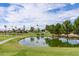 Picturesque golf course pond with geese and ducks swimming peacefully on a sunny day at 1642 E Palm Beach Dr, Chandler, AZ 85249