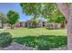 Beautifully landscaped grounds featuring lush green lawns and mature trees surrounding the apartment buildings at 17017 N 12Th St # 2117, Phoenix, AZ 85022