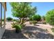 Expansive backyard featuring desert landscaping, lush trees, and a covered patio at 19472 N Marble Canyon Ct, Surprise, AZ 85374
