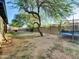 Spacious fenced backyard with mature landscaping, shade trees, patio area, and a trampoline for outdoor fun and leisure at 19604 N 13Th Ave, Phoenix, AZ 85027