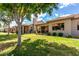Well-manicured backyard featuring a covered patio, mature trees, and a grassy lawn at 23813 S Pleasant Way, Sun Lakes, AZ 85248