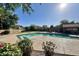 Community pool with lounge chairs surrounded by lush landscaping on a sunny day at 3234 E Briarwood Ter, Phoenix, AZ 85048