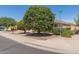 Landscaped neighborhood corner with grassy areas and mature trees at 3580 E Kesler Ln, Gilbert, AZ 85295