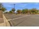 Well-maintained street scene with trees and manicured landscaping at 3828 S Verbena Ave, Gilbert, AZ 85297