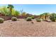 Desert landscaped backyard featuring a rock ground covering and privacy wall with green bushes and some cactus plants at 4617 W Alicia Dr, Laveen, AZ 85339