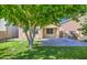 Spacious backyard with a large tree and swing, providing a serene outdoor space for relaxation at 9413 W Williams St, Tolleson, AZ 85353
