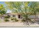 Charming single-story home featuring a well-maintained front yard with desert landscaping and a mature shade tree at 1002 E Topeka Dr, Phoenix, AZ 85024