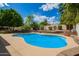 A blue swimming pool is surrounded by an appealing landscape of trees and flowering shrubs at 1002 E Topeka Dr, Phoenix, AZ 85024
