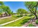 Scenic view of a grassy common area with mature trees and walking paths at 14200 W Larkspur Dr, Surprise, AZ 85379