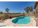 Inviting swimming pool surrounded by lush landscaping and a privacy fence, a relaxing retreat at 20420 N 93Rd Dr, Peoria, AZ 85382