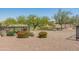 Well maintained backyard view of lush plants with desert landscaping leading to community golf course at 20506 N 271St Ave, Buckeye, AZ 85396