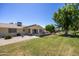 Large grassy backyard featuring mature trees and desert landscaping at 21218 N Aurora Dr, Sun City West, AZ 85375