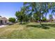 Well-maintained lawn with mature trees and desert landscaping at 21218 N Aurora Dr, Sun City West, AZ 85375