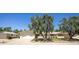 Charming single story home with mature trees, well-manicured lawn, and a two car garage at 21218 N Aurora Dr, Sun City West, AZ 85375