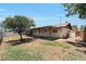 Spacious backyard with mature tree and covered patio at 233 E Cairo Dr, Tempe, AZ 85282