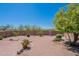 Desert-landscaped backyard includes a brick patio, mature trees, and shrubs at 2807 W Gregory St, Apache Junction, AZ 85120