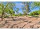 Picturesque park area with natural desert landscaping and mature trees for a relaxing outdoor experience at 3131 E Legacy Dr # 1057, Phoenix, AZ 85042