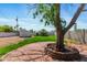 Lush backyard with a brick-lined tree bed, offering a serene and inviting outdoor space at 3243 E Sheridan St, Phoenix, AZ 85008