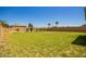 Spacious backyard featuring green grass, mature trees, and a storage shed at 34949 N Spur Cir, San Tan Valley, AZ 85144