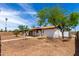 Lush backyard featuring mature tree, offering shade and charm at 3802 N 48Th Dr, Phoenix, AZ 85031