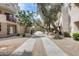 Exterior view of a condo with a well-maintained walkway lined with trees and desert landscaping at 4850 E Desert Cove Ave # 240, Scottsdale, AZ 85254