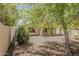 Large backyard with mature trees, desert landscaping, and a covered patio, perfect for outdoor relaxation at 5926 W Questa Dr, Glendale, AZ 85310