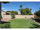 Well-maintained backyard featuring artificial turf, mature trees, and a secure fenced area, perfect for pets or play at 6135 E Aire Libre Ln, Scottsdale, AZ 85254