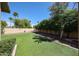 Beautiful backyard with artificial turf and mature landscaping, offering a private and inviting outdoor space at 6135 E Aire Libre Ln, Scottsdale, AZ 85254