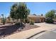 Charming single-story home featuring a well-maintained landscape, mature trees, and a two-car garage at 6135 E Aire Libre Ln, Scottsdale, AZ 85254