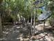 Secluded backyard featuring mature trees, a charming bench, and unique fixtures offering a peaceful retreat at 6512 E Portia Cir, Mesa, AZ 85215