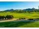 Expansive golf course with lush green fairways surrounded by mature trees and mountain views on a sunny day at 8312 N Golf Dr, Paradise Valley, AZ 85253